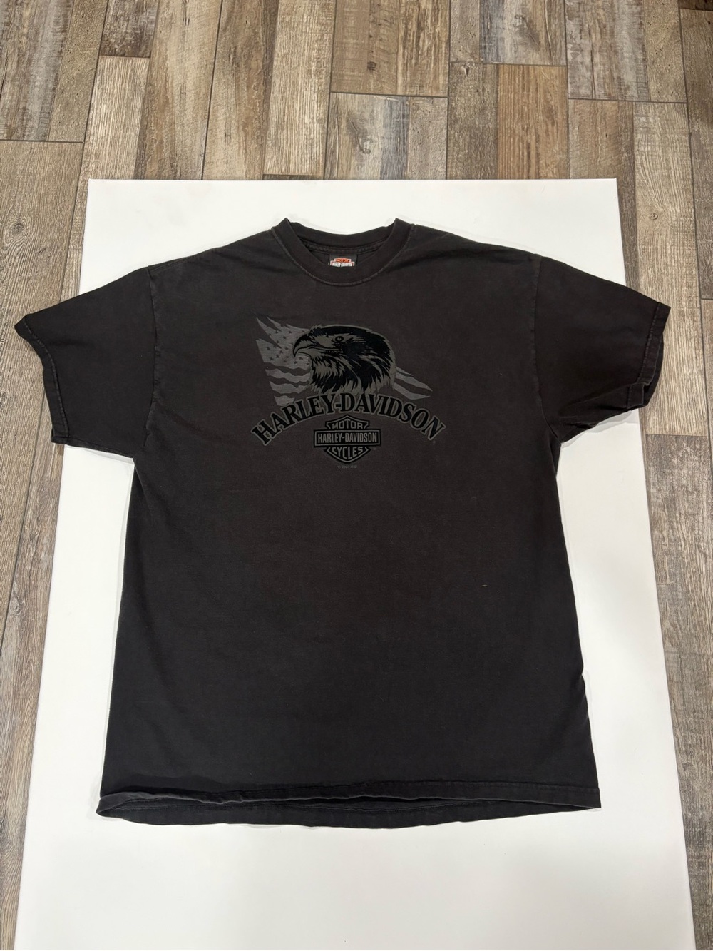 Authentic Harley-Davidson Motorcycle Eagle Balaβs Mauston, WI T-Shirt